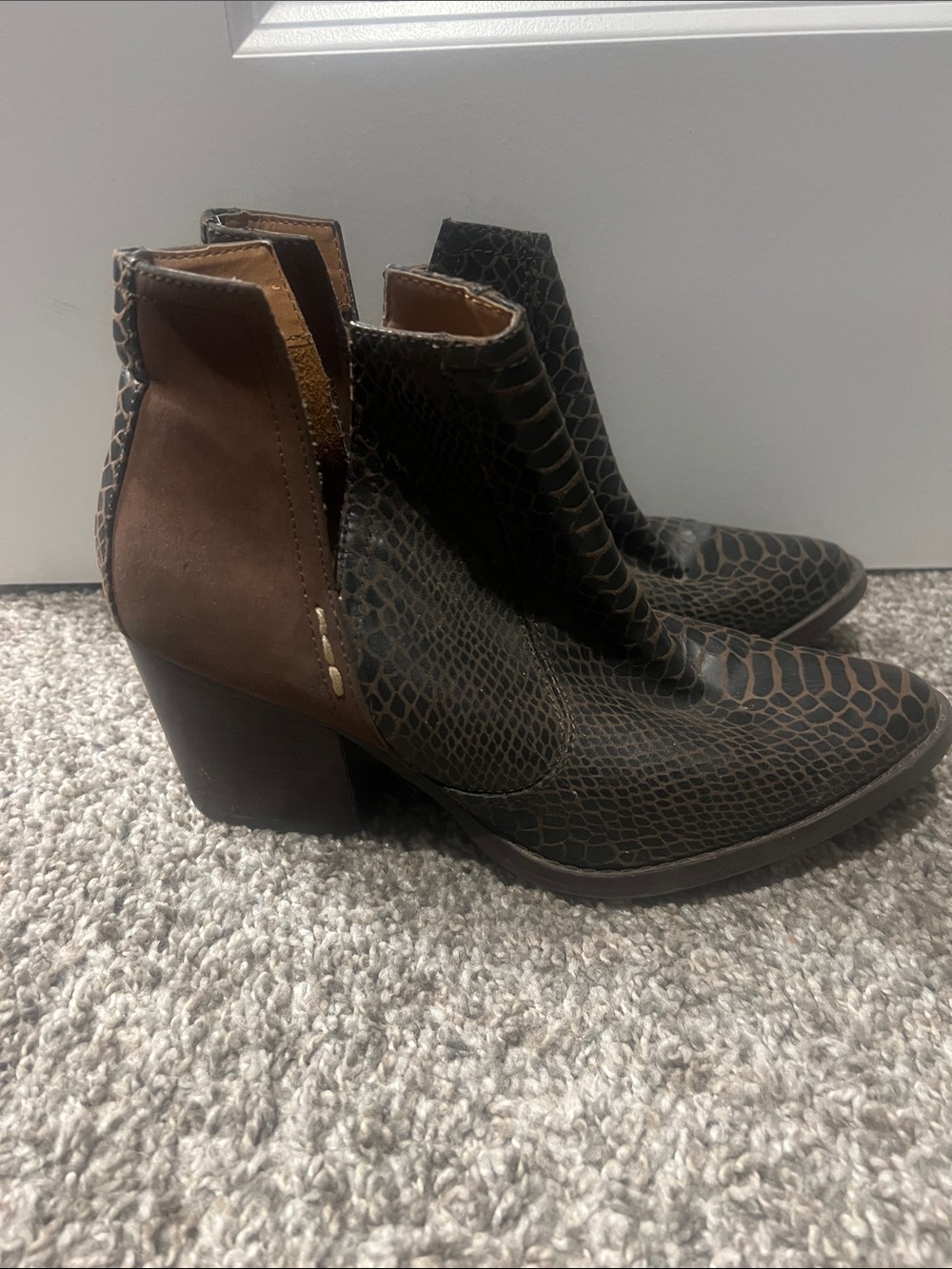 Not Rated Black and Brown Snake-Print Ankle Booties